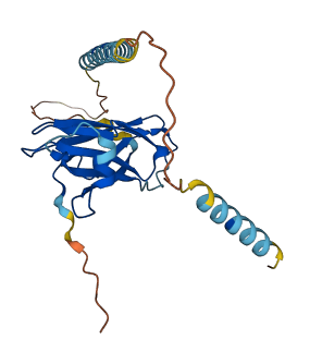 VAPA 3D structure
