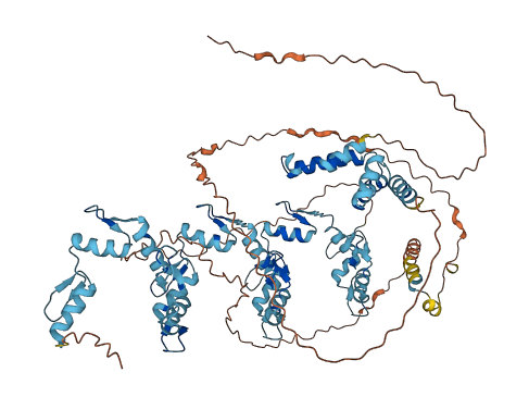 ZKSCAN7 3D structure
