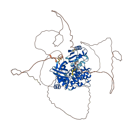 MARK1 3D structure
