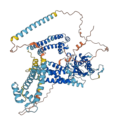 PKD2L1 3D structure