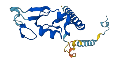 RNF181 3D structure