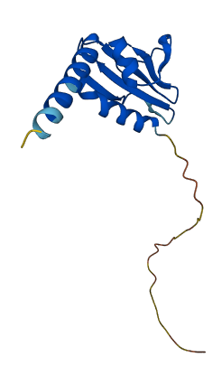 GSKIP 3D structure