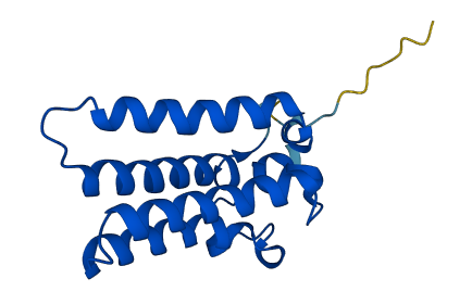ORMDL1 3D structure