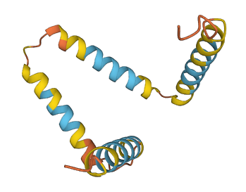TMEM14C 3D structure