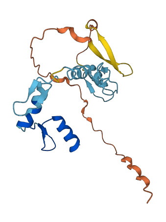 ZNF581 3D structure