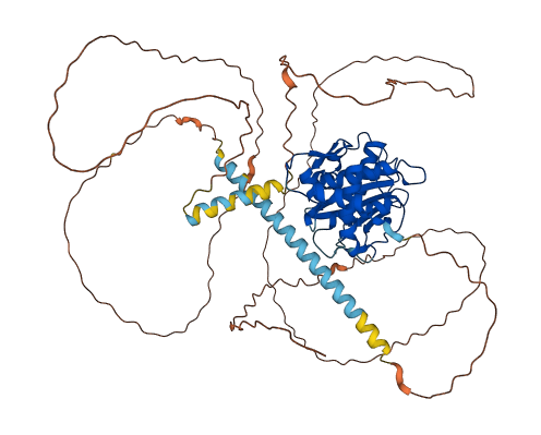 SENP1 3D structure