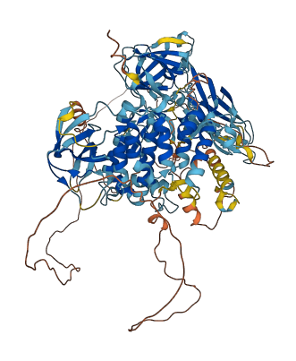 SH3BP4 3D structure