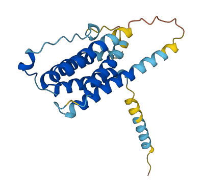 IFNK 3D structure