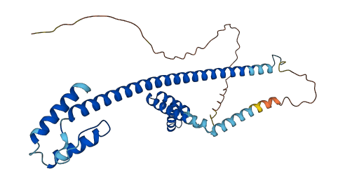 HMG20B 3D structure