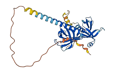 DOK5 3D structure
