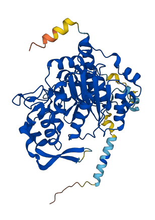 GCNT4 3D structure