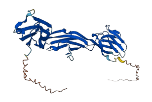 NTM 3D structure