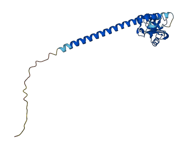 CLEC1B 3D structure