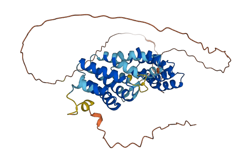 PPP4R1L 3D structure