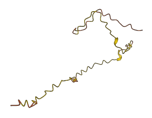 RBM12B-AS1 3D structure