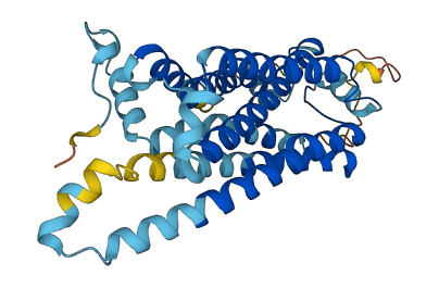 TAAR3P 3D structure