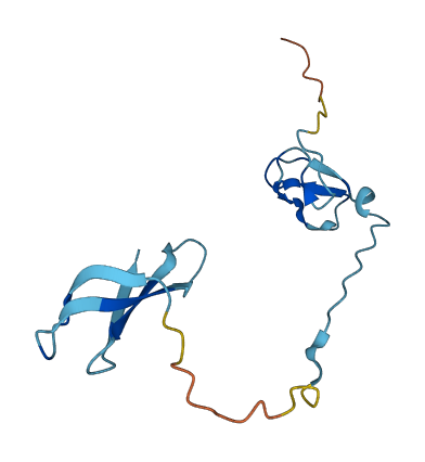 ZNRD1 3D structure