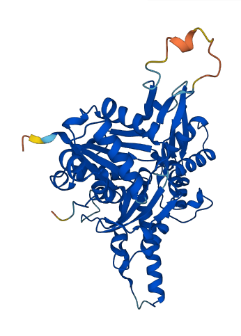 ACTR3B 3D structure