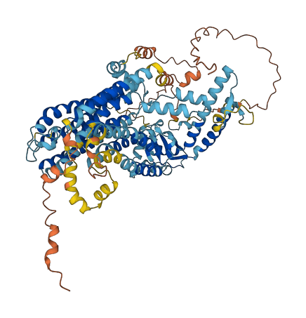 TMEM63C 3D structure