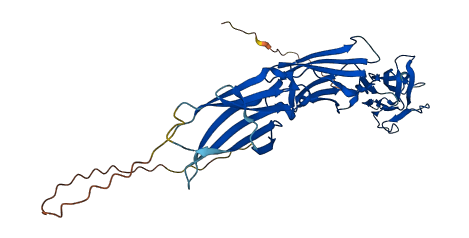 SIRPG 3D structure