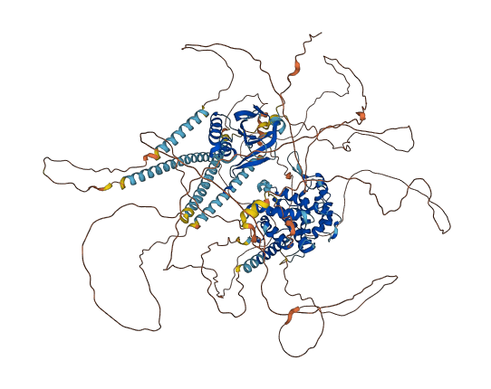 CAMSAP3 3D structure