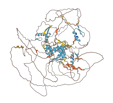 ZBTB4 3D structure