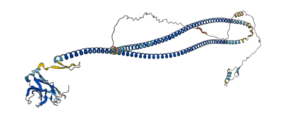 CALCOCO1 3D structure