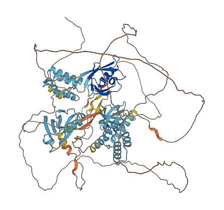 WHRN 3D structure