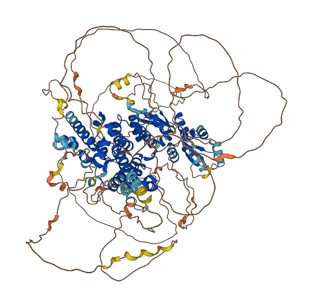 BTBD7 3D structure