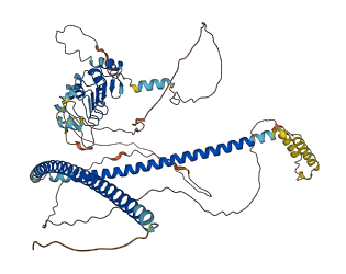 CEP72 3D structure