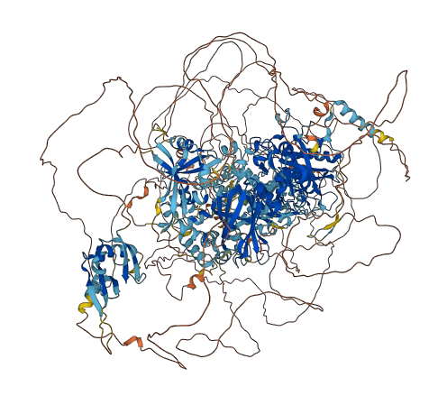 PLCE1 3D structure