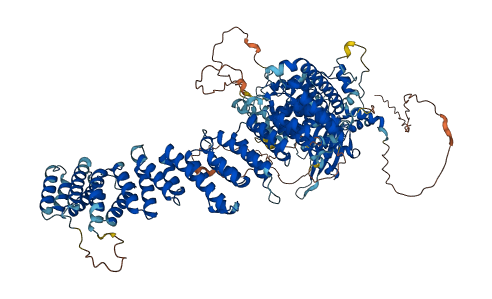 ZSWIM5 3D structure