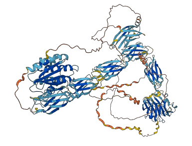 COL20A1 3D structure