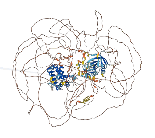 ARHGAP23 3D structure
