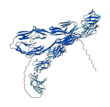 CNTN3 3D structure
