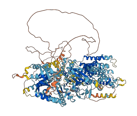 ATP10D 3D structure