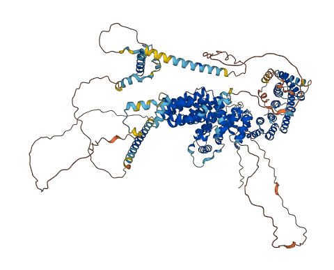 RELCH 3D structure