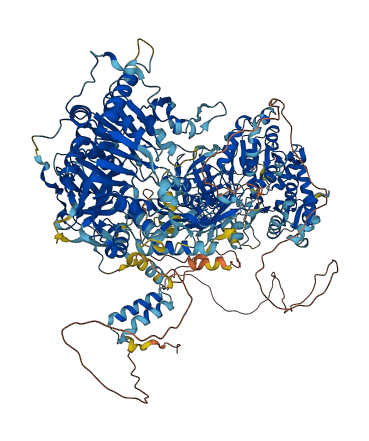 DIP2B 3D structure