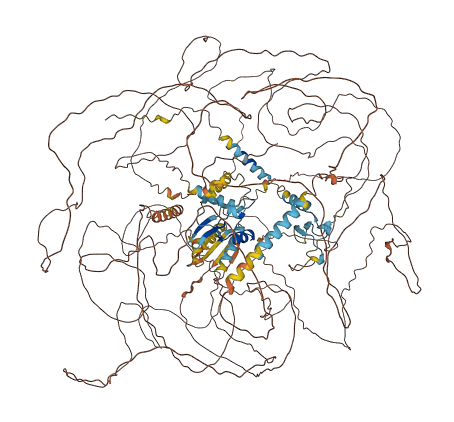 MBD5 3D structure