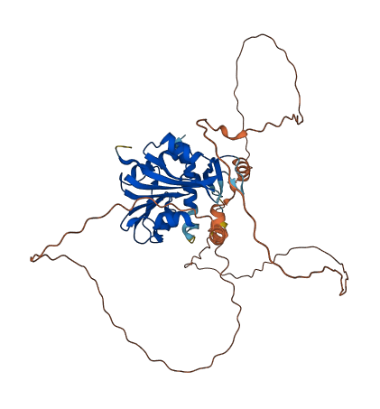 TRMT9B 3D structure