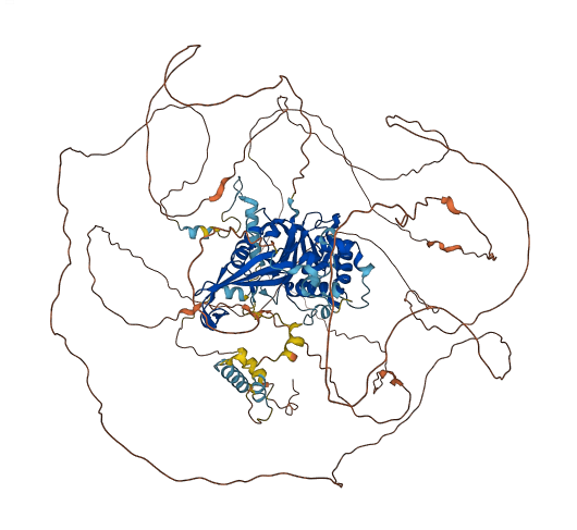 USP36 3D structure