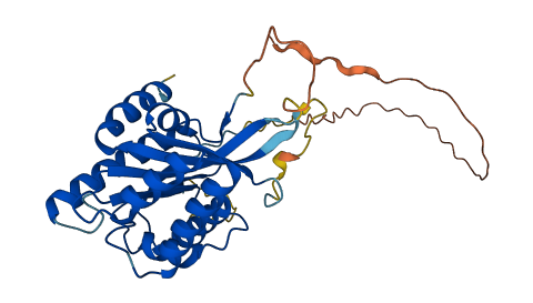 BCCIP 3D structure