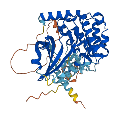 STK26 3D structure