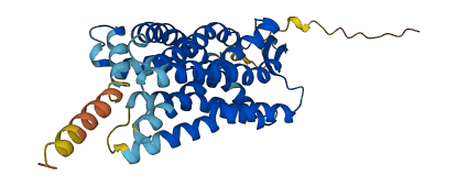 C5AR2 3D structure