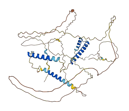 CFAP97 3D structure