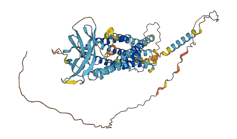 TMEM181 3D structure