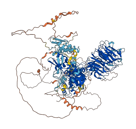 IBTK 3D structure