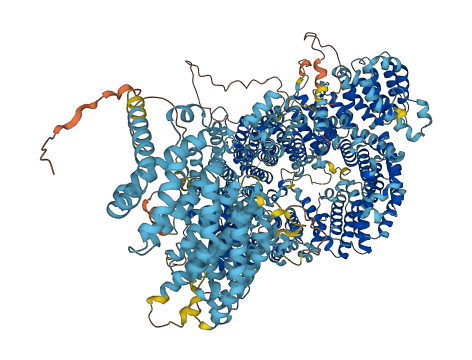HEATR5B 3D structure