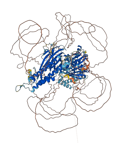 FAM135A 3D structure