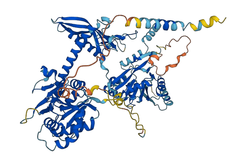 CHPF2 3D structure